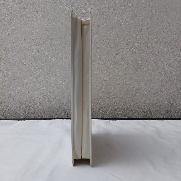 Mary-Kate Ashley Olsen - Holiday in the Sun VHS 2001 Clamshell Packaging - Picture 2 of 7